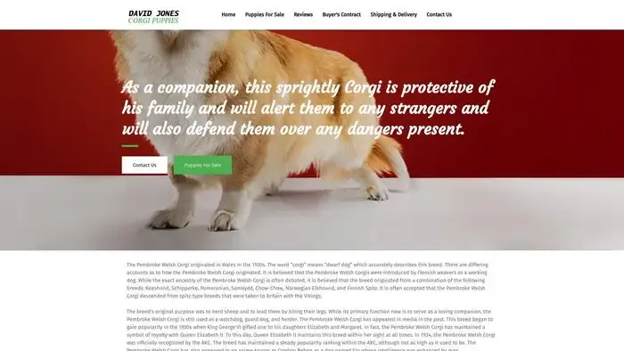 Screenshot of