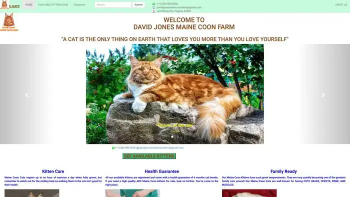 Screenshot of