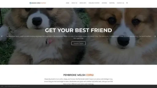 Screenshot of