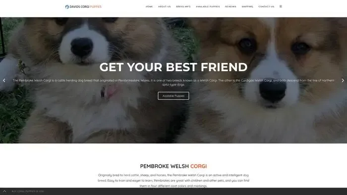 Screenshot of