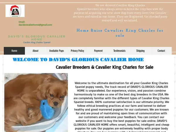 Screenshot of