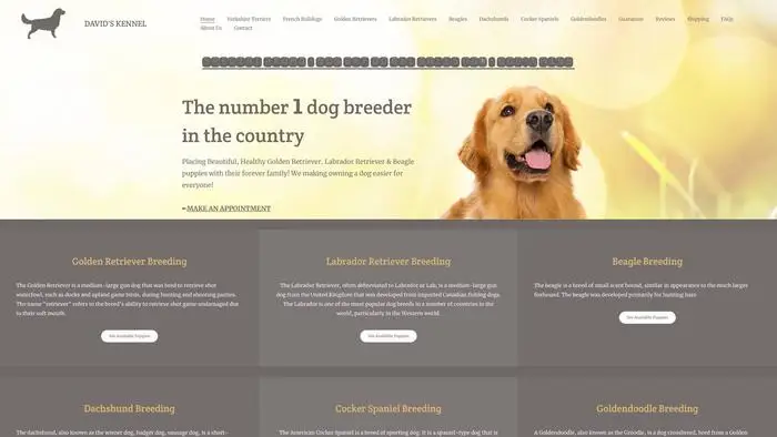 Screenshot of