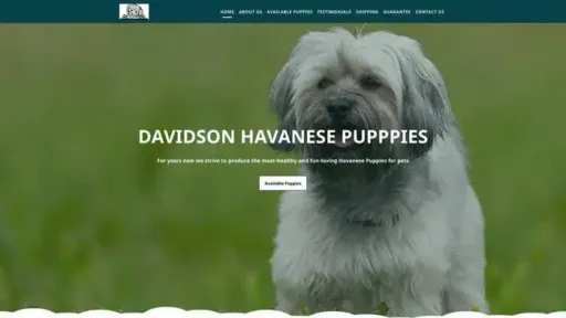 Screenshot of