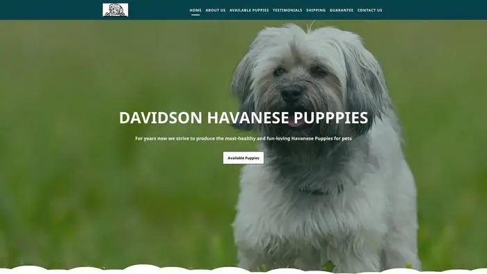 Screenshot of