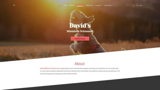 Screenshot of
