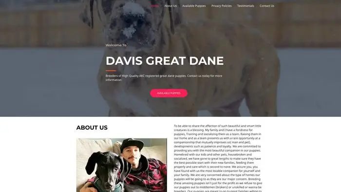 Screenshot of