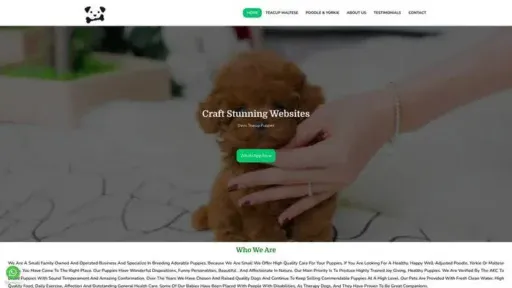 Screenshot of