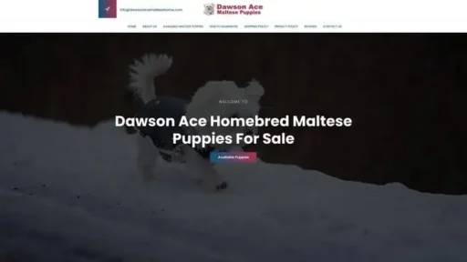 Screenshot of