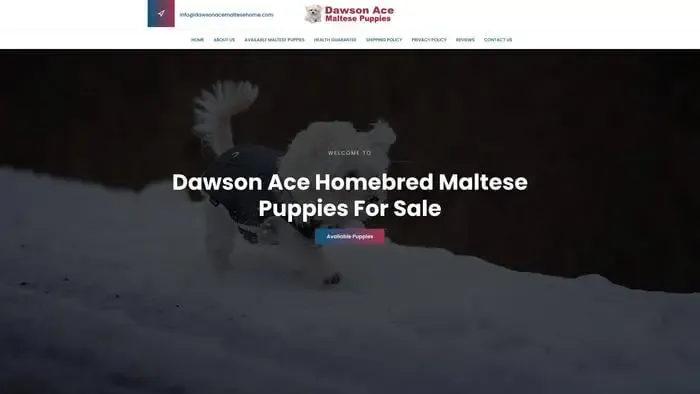 Screenshot of