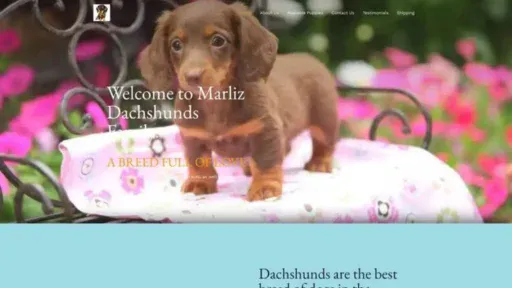 Screenshot of||