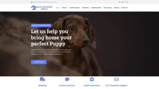 Screenshot of