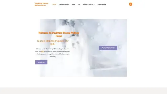 Screenshot of