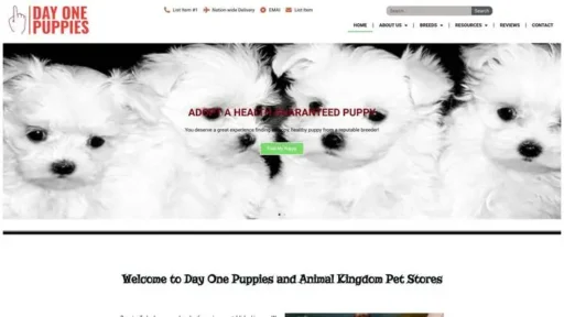 Screenshot of