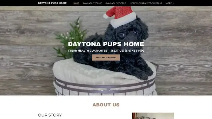 Screenshot of