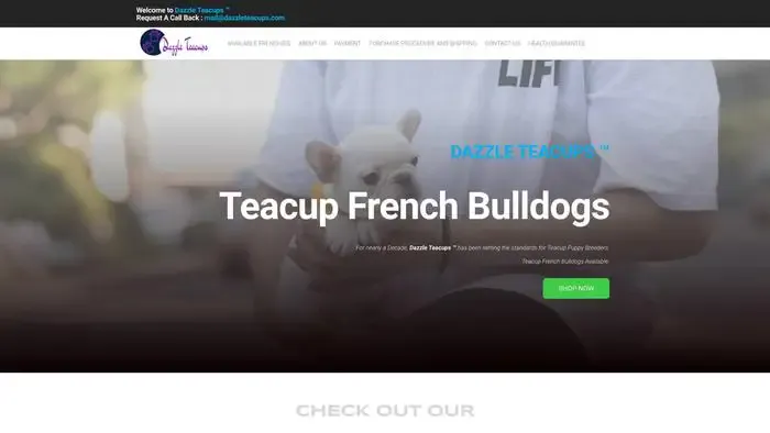 Screenshot of