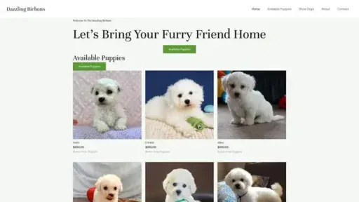 Screenshot of