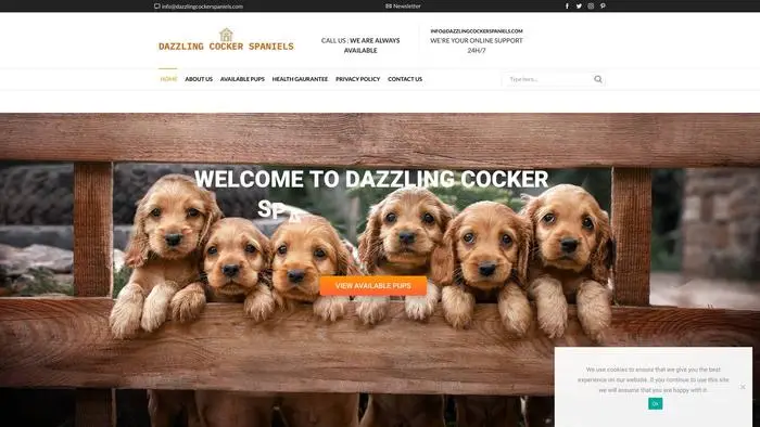 Screenshot of