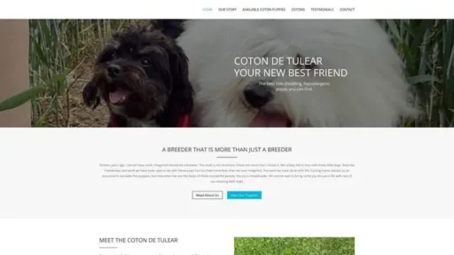 Screenshot of