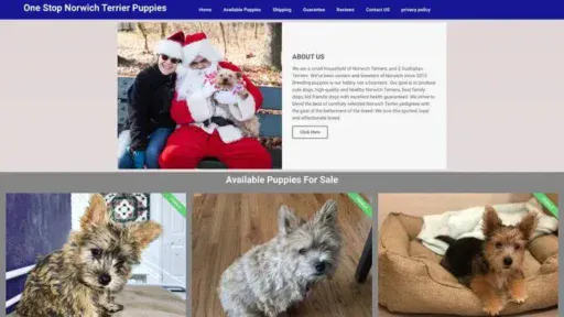 Screenshot of
