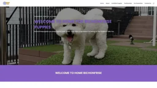 Screenshot of