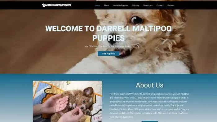 Screenshot of