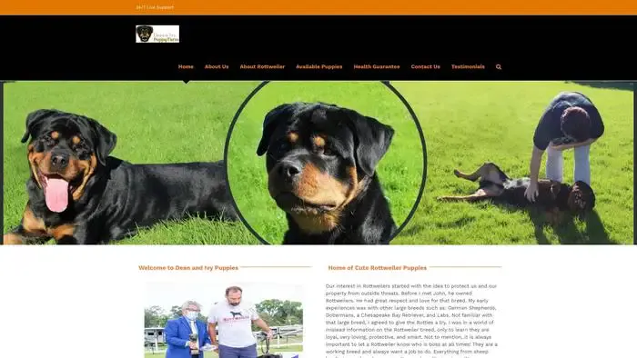 Screenshot of