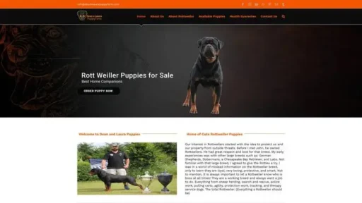 Screenshot of