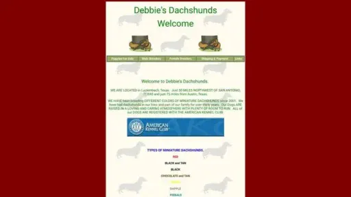 Screenshot of