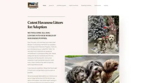 Screenshot of
