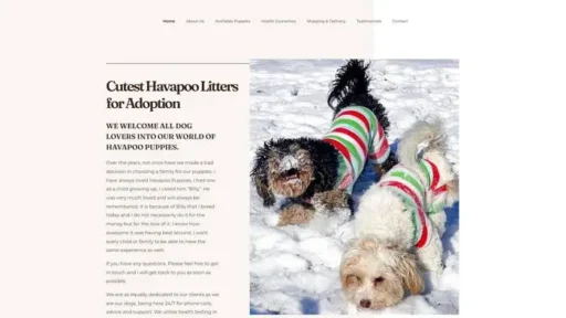 Screenshot of