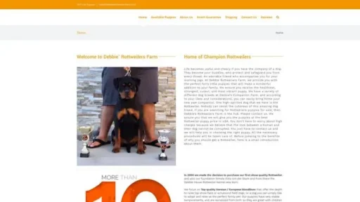 Screenshot of
