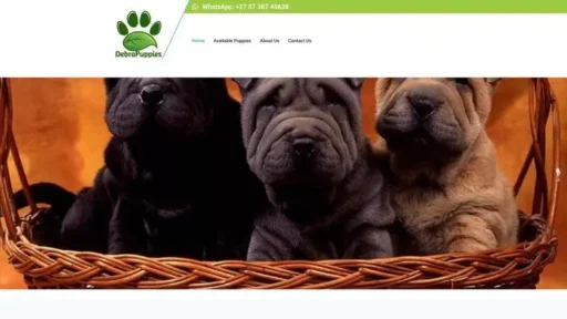 Screenshot of