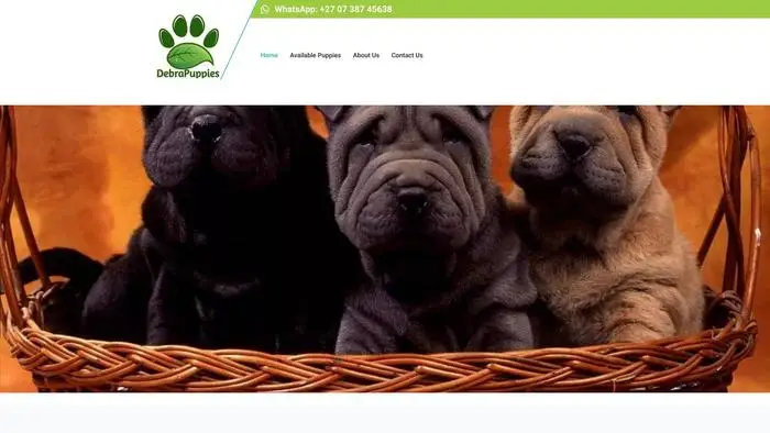 Screenshot of