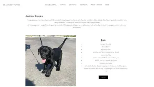 Screenshot of