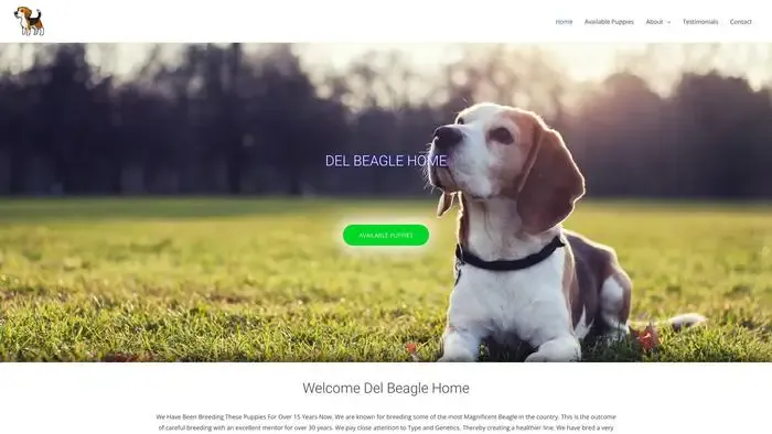 Screenshot of