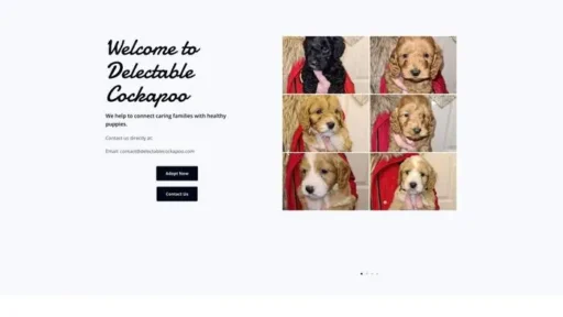 Screenshot of