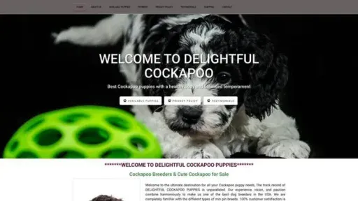 Screenshot of