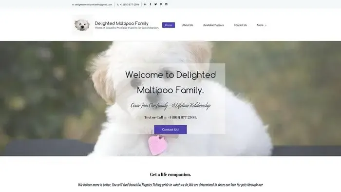 Screenshot of