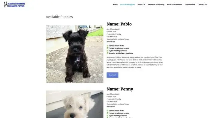 Screenshot of