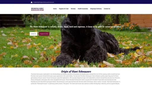 Screenshot of