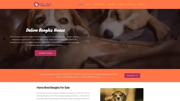 Screenshot of