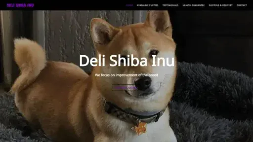 Screenshot of