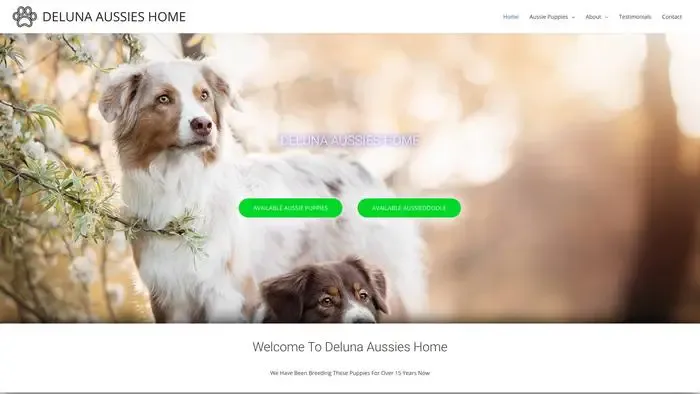 Screenshot of