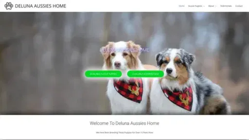 Screenshot of