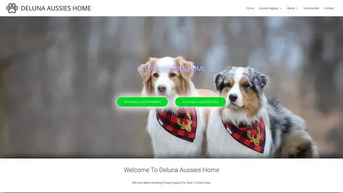 Screenshot of