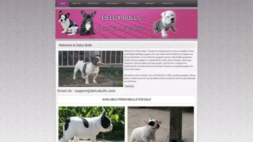 Screenshot of