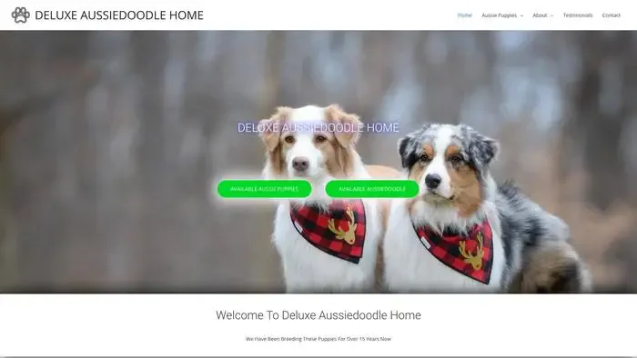 Screenshot of