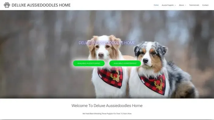 Screenshot of