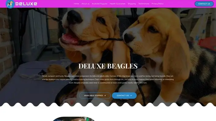 Screenshot of