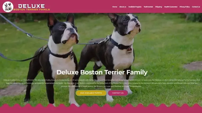 Screenshot of